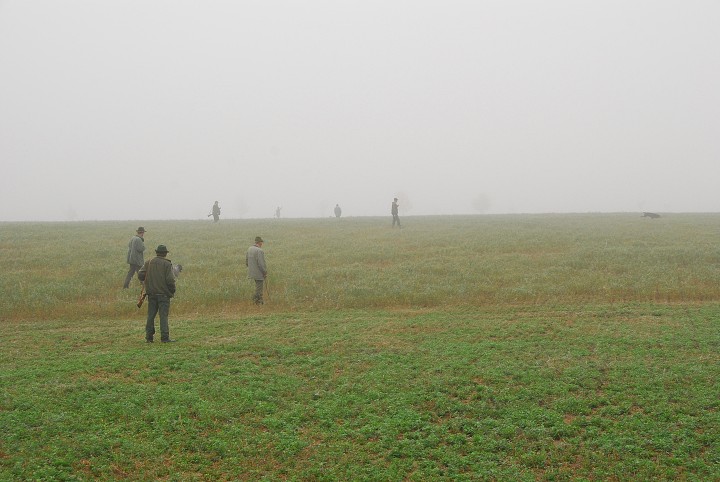 img00016.jpg