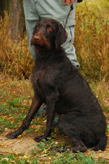 img00018.jpg