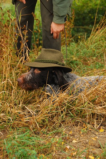 img00020.jpg