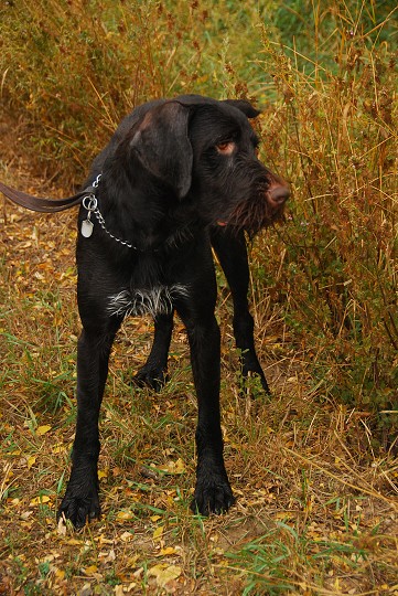 img00021.jpg