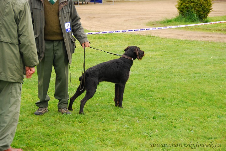 img00016.jpg