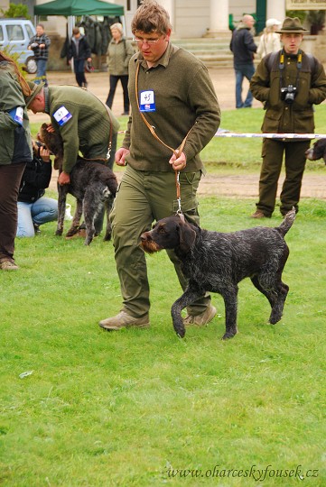 img00024.jpg