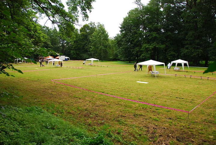 img00001.jpg