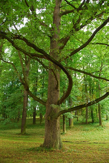 img00002.jpg