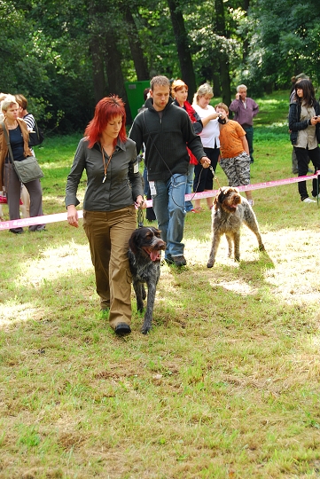 img00008.jpg