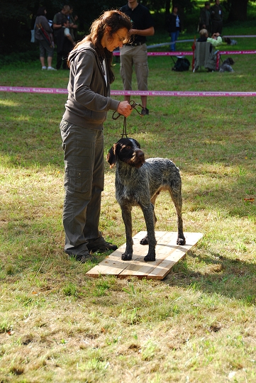 img00012.jpg