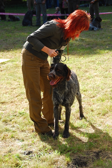 img00026.jpg