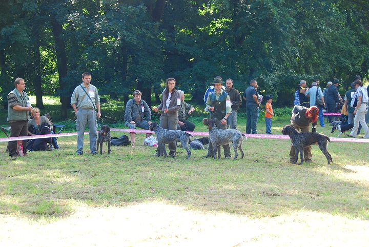 img00028.jpg