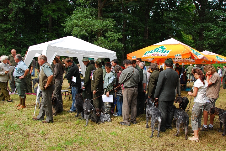 img00034.jpg