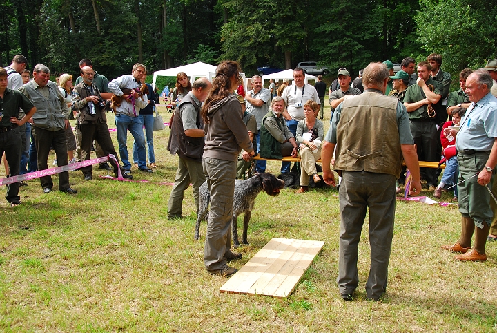 img00036.jpg