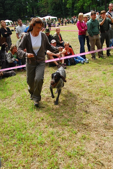 img00037.jpg