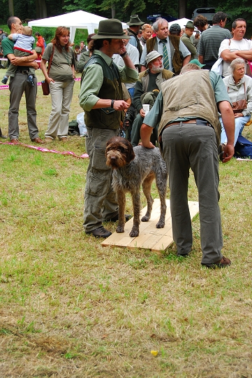 img00038.jpg