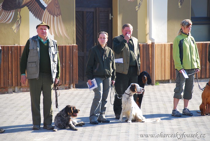img00013.jpg