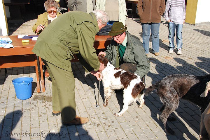 img00015.jpg