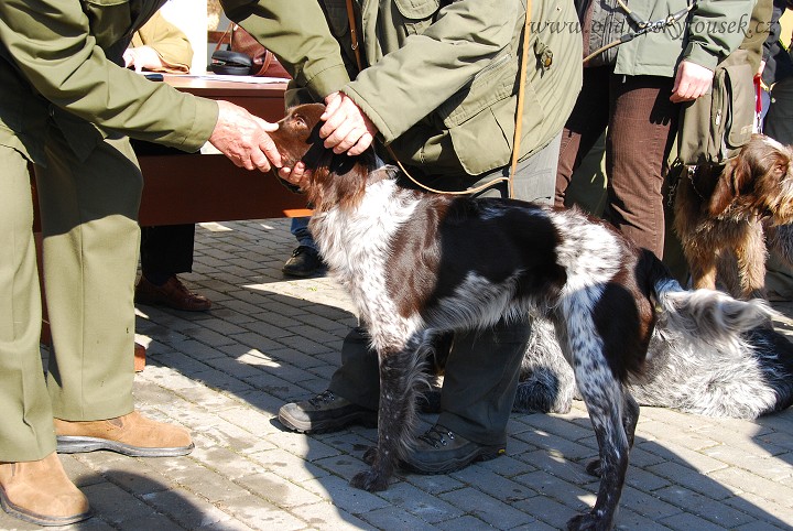 img00021.jpg