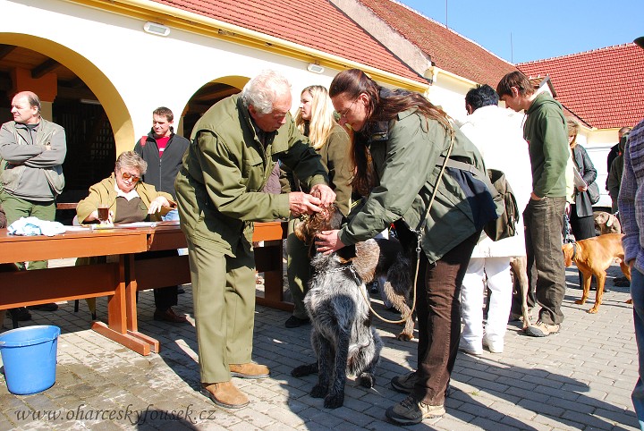 img00023.jpg