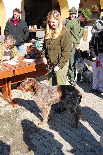 img00024.jpg