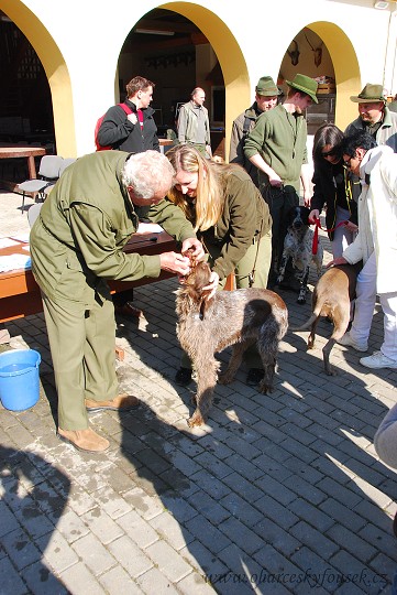 img00025.jpg