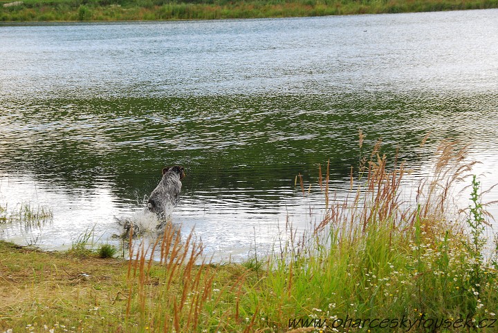 img00017.jpg