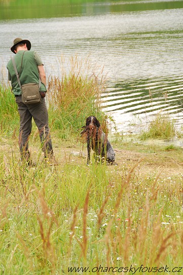 img00020.jpg