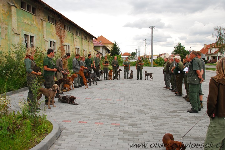 img00026.jpg