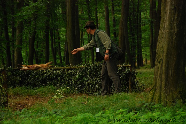 img00039.jpg