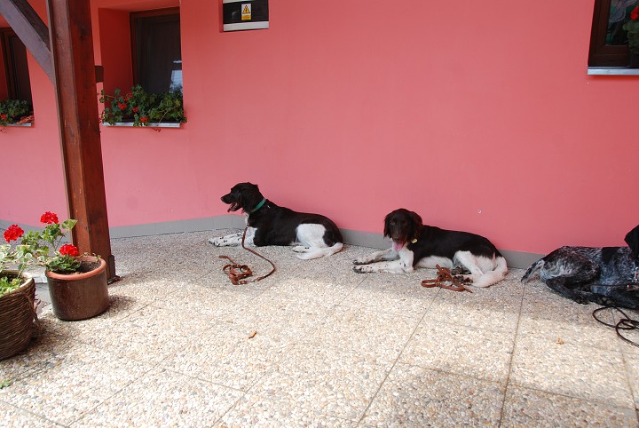 img00005.jpg