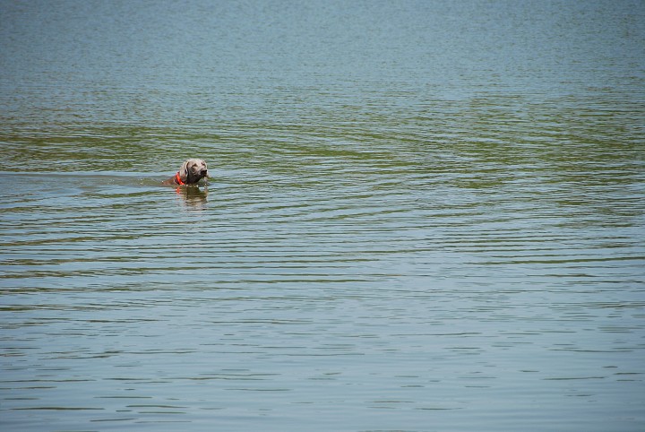img00023.jpg