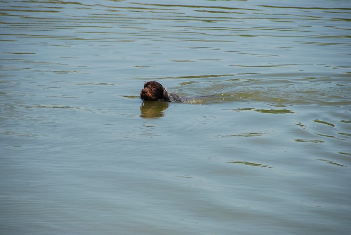 img00027.jpg