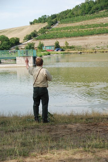 img00037.jpg