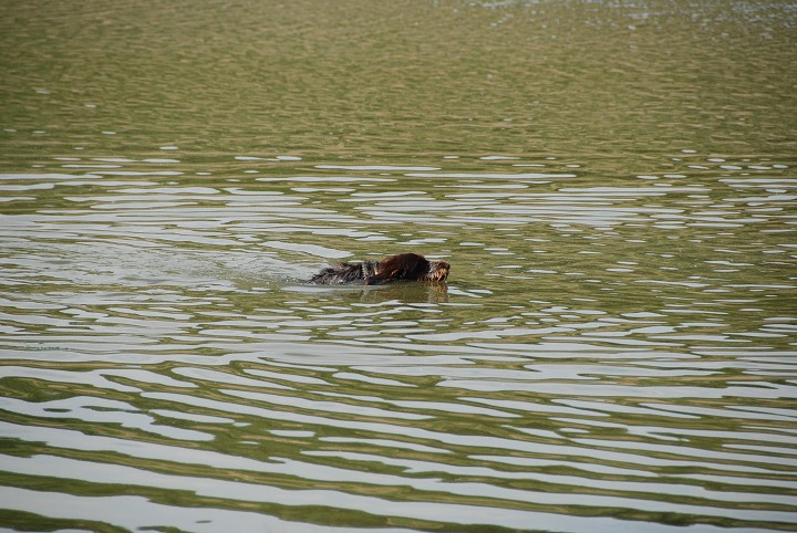 img00039.jpg