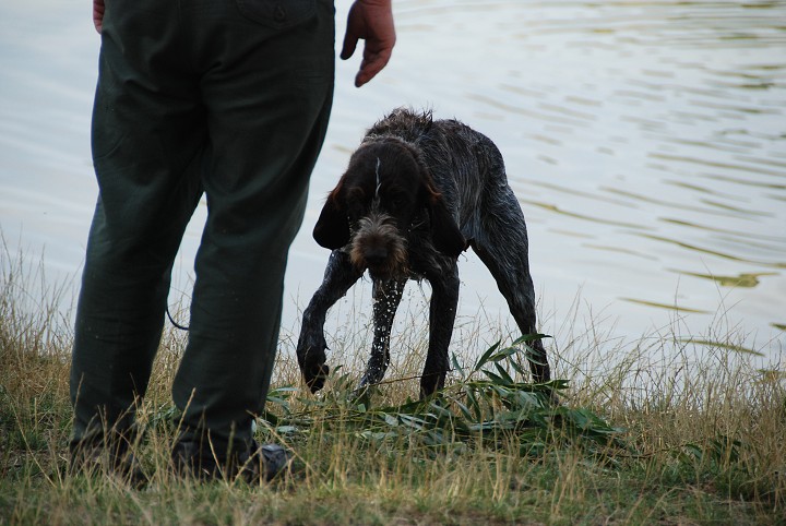 img00045.jpg