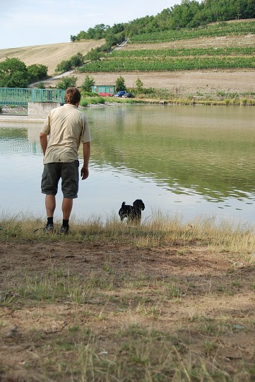 img00046.jpg