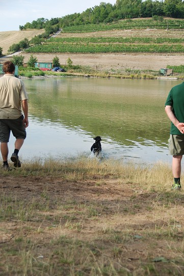 img00047.jpg