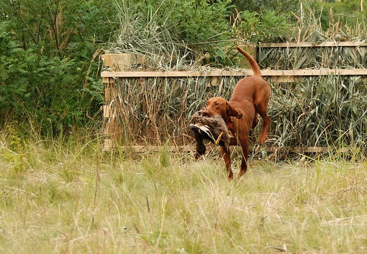 img00148.jpg