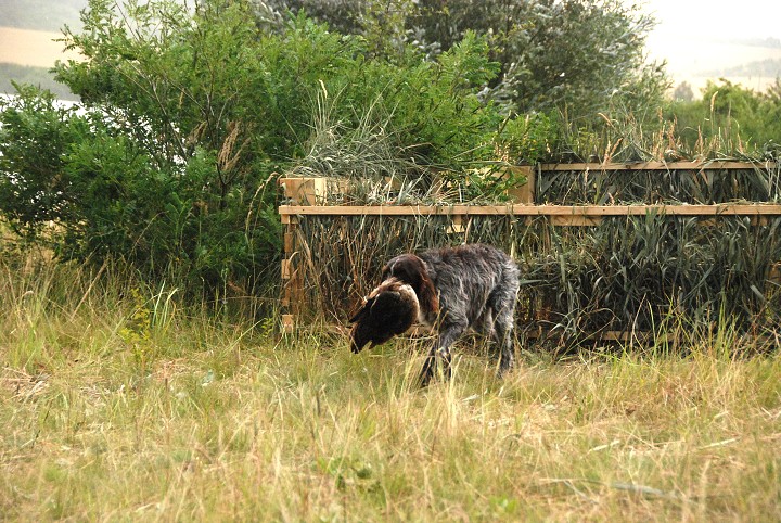 img00197.jpg