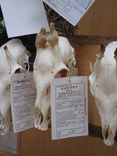 img00002.jpg