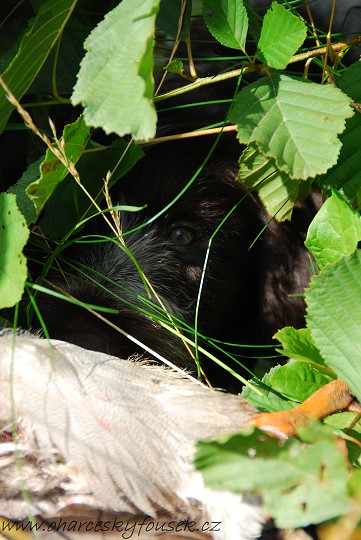 img00015.jpg