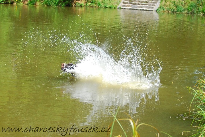 img00018.jpg