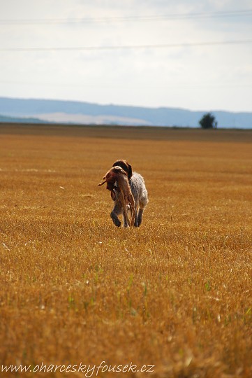 img00034.jpg