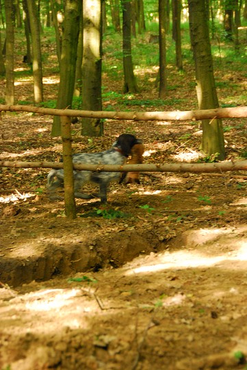 img00014.jpg