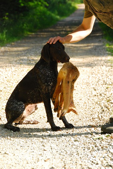 img00021.jpg