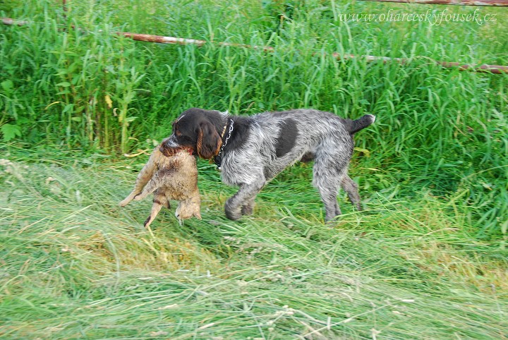 img00007.jpg