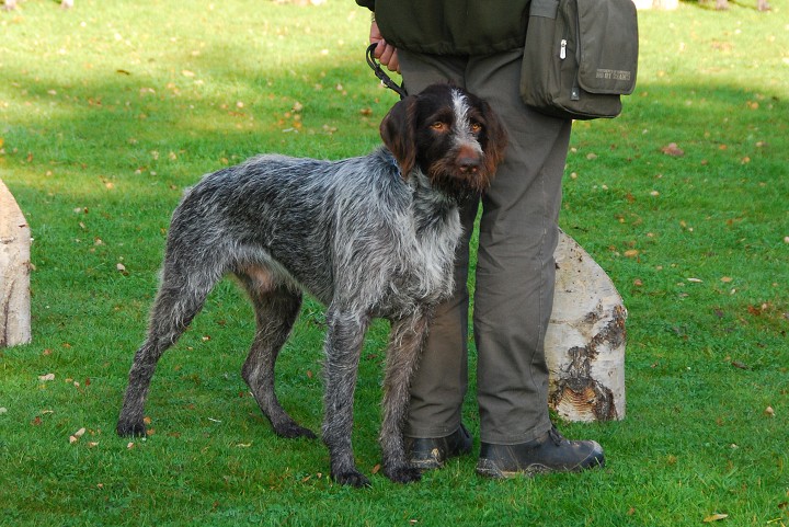 img00008.jpg