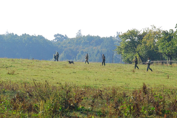 img00010.jpg