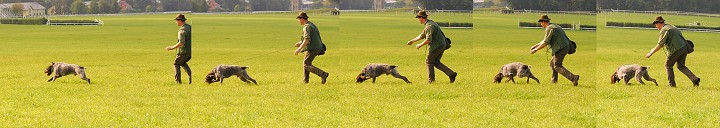 img00021.jpg