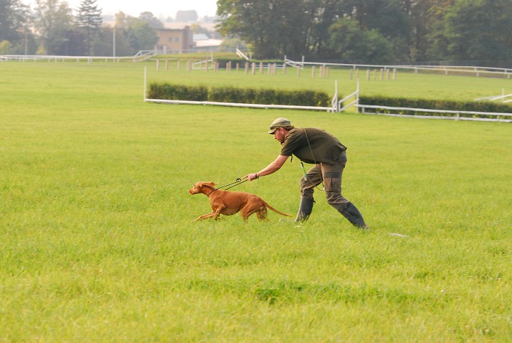 img00024.jpg