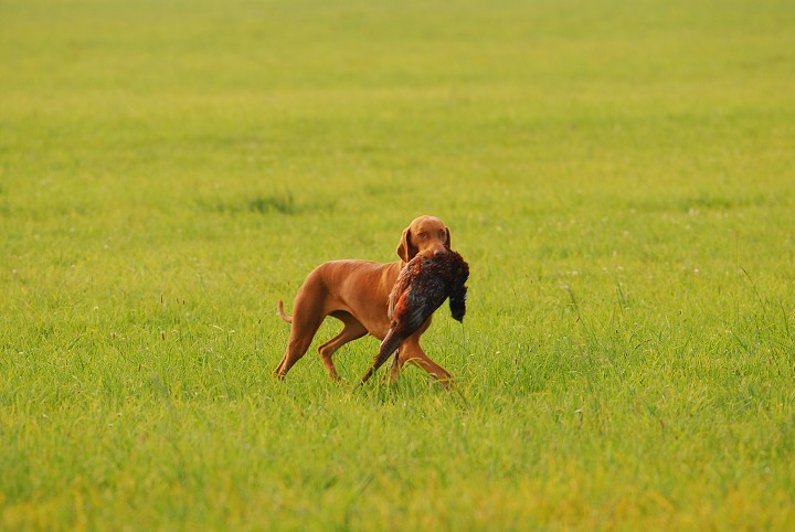 img00025.jpg