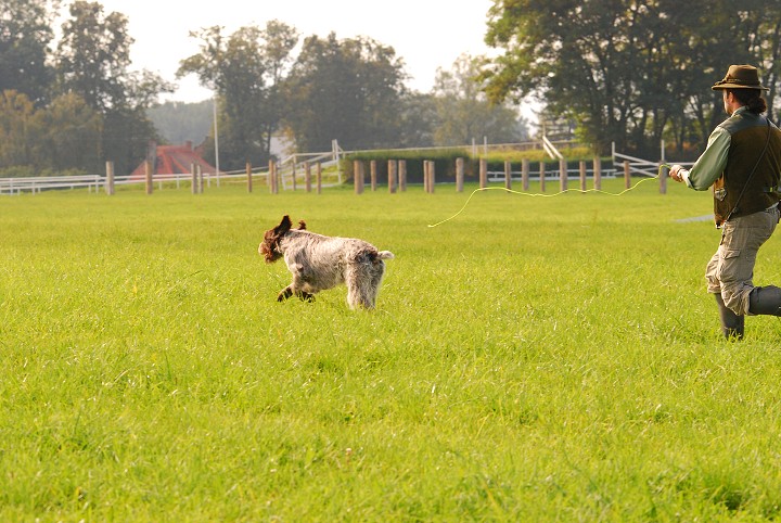 img00029.jpg