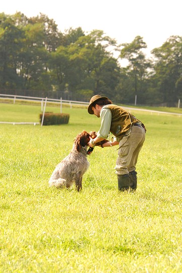 img00030.jpg